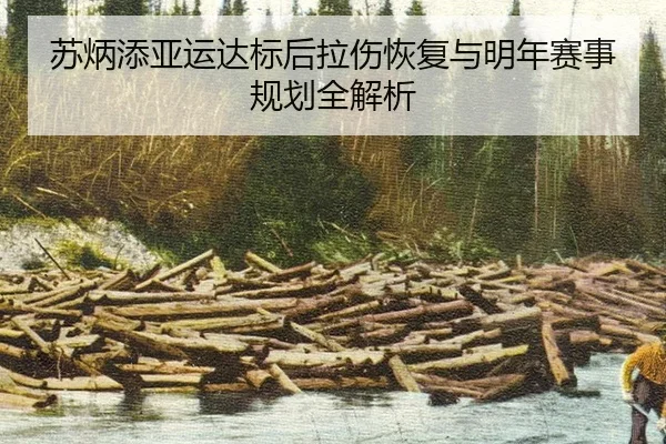 苏炳添亚运达标后拉伤恢复与明年赛事规划全解析