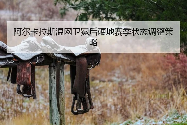 a-er-ka-la-si-wen-wang-wei-mian-hou-ying-di-sai-ji-zhuang-tai-tiao-zheng-ce-lve-2-709.jpg