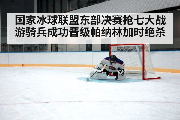 ice hockey goaltender save